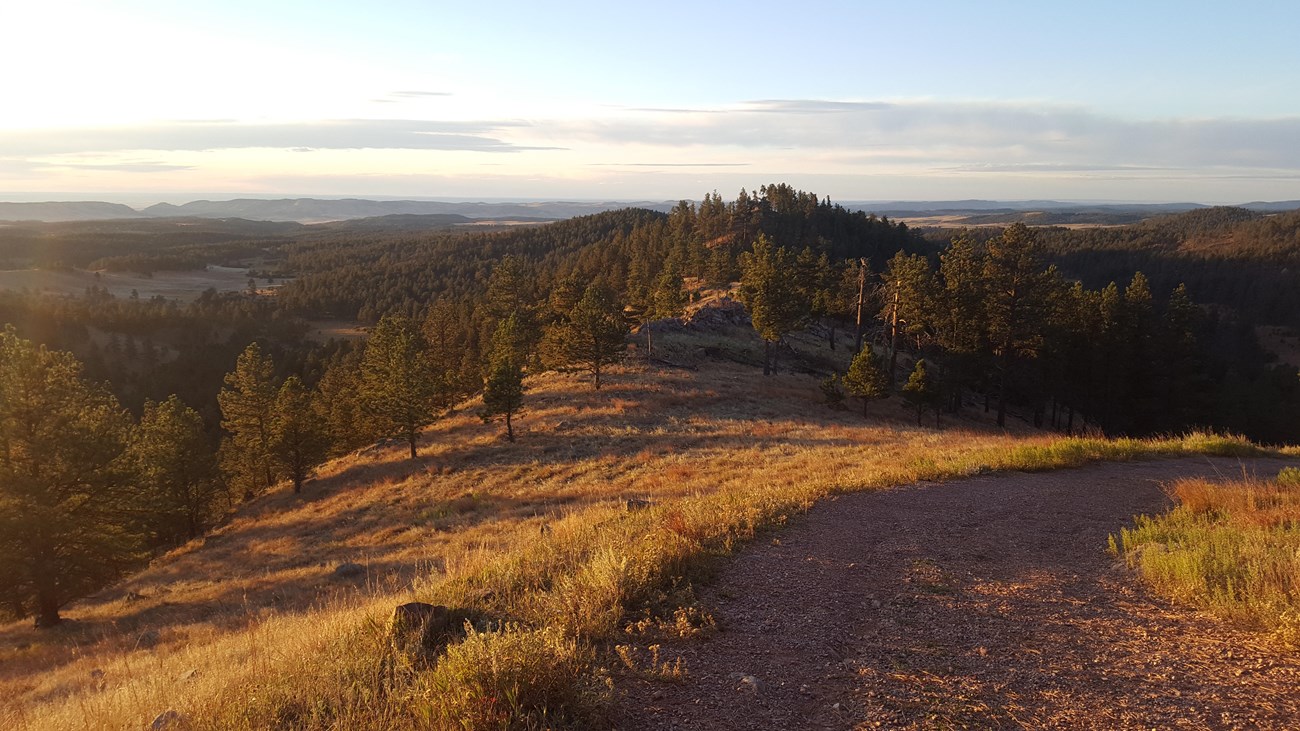 wide gravel path at sunrise on an open hillside with many forested hills in the distance