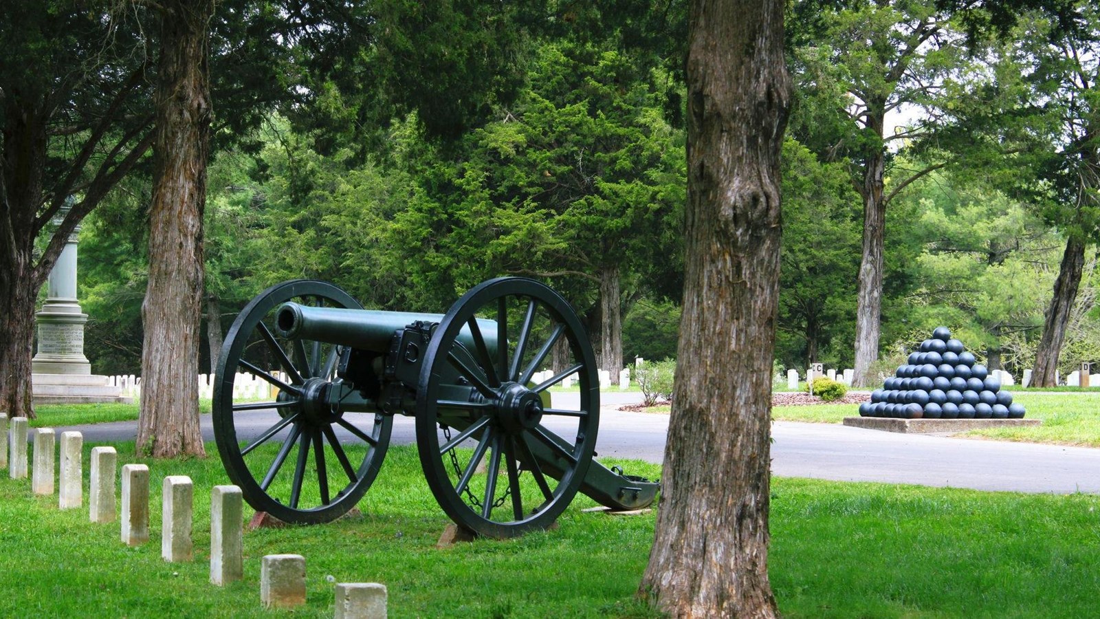 A Civil War cannon between two trees behind a row of headstones.