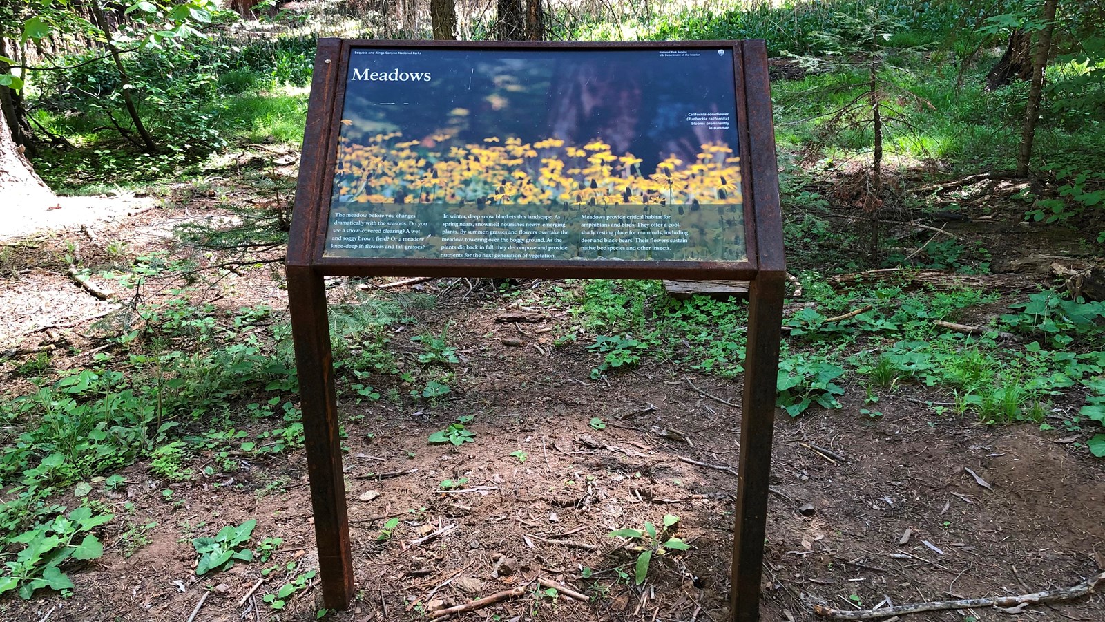 A brown, metal sign has a picture of bright yellow flowers and text about meadows.