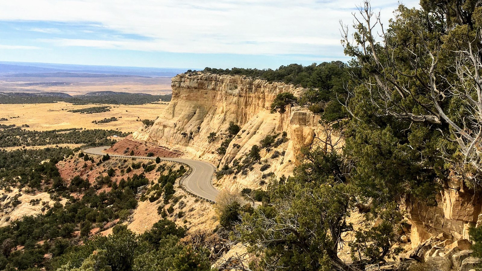 The Harpers Corner Road snakes back and forth around a rock face.
