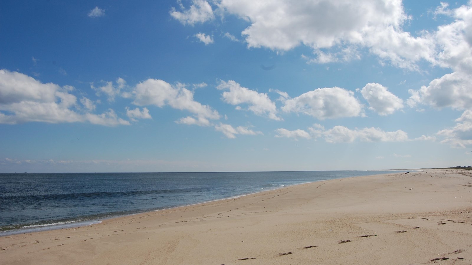 beach and water
