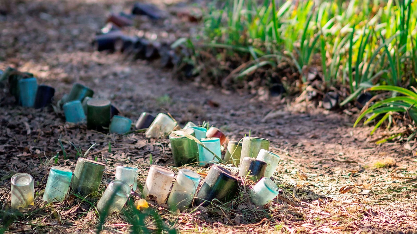 Oakland Bottle Garden