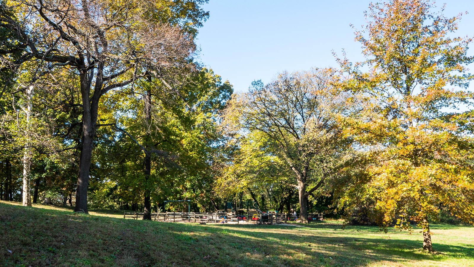 Picnic tables and autumn trees