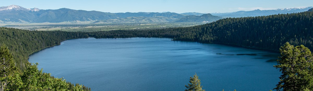 A lake surrounded by trees as viewed from above.