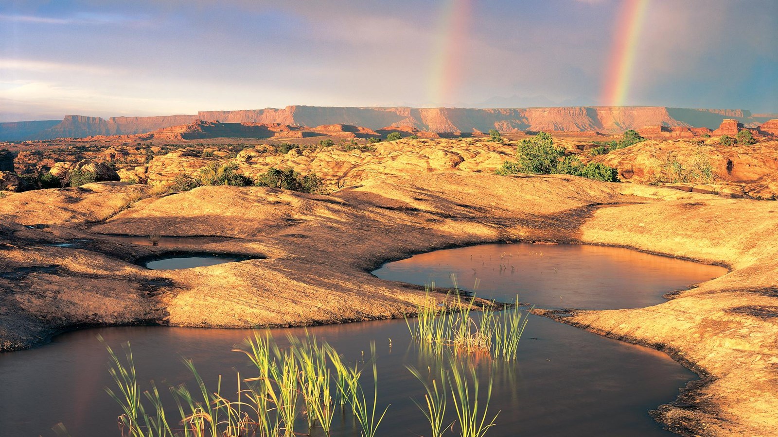 Water and grass fill several potholes- indentations in the sandstone after rain. Rainbows visible. 