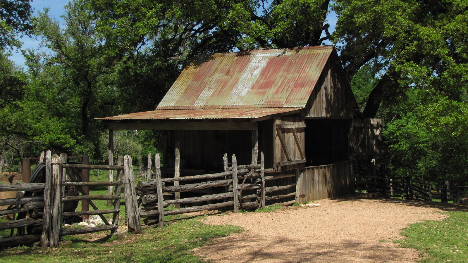 A corrugated metal gable-roofed wooden structure has an lean-to and fence under a huge tree.