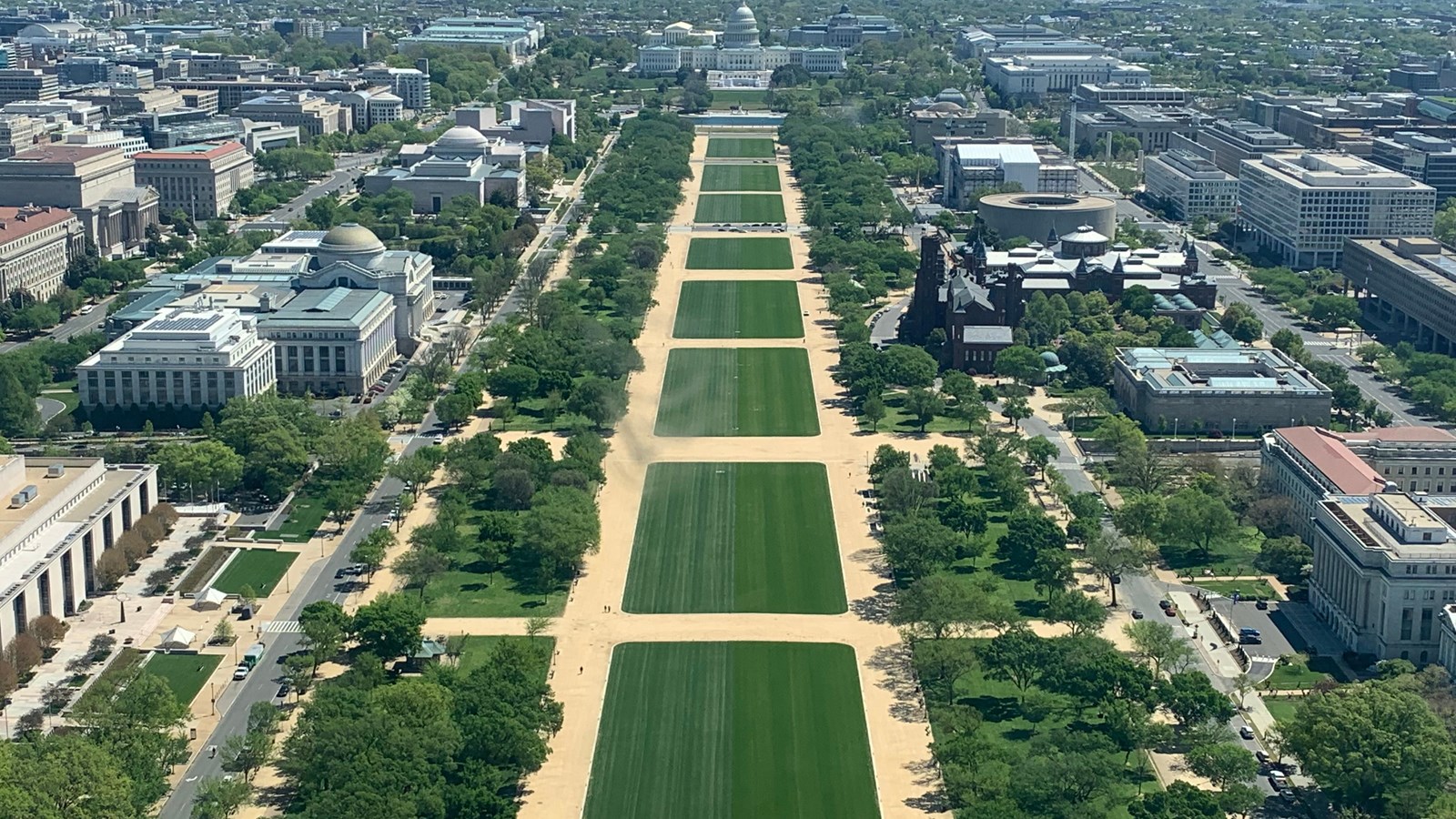 Green lawn surrounded by walkways and buildings