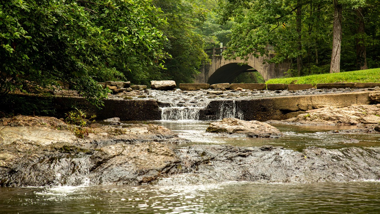 Water flows through a rocky creek bed, surrounded by lush greenery.