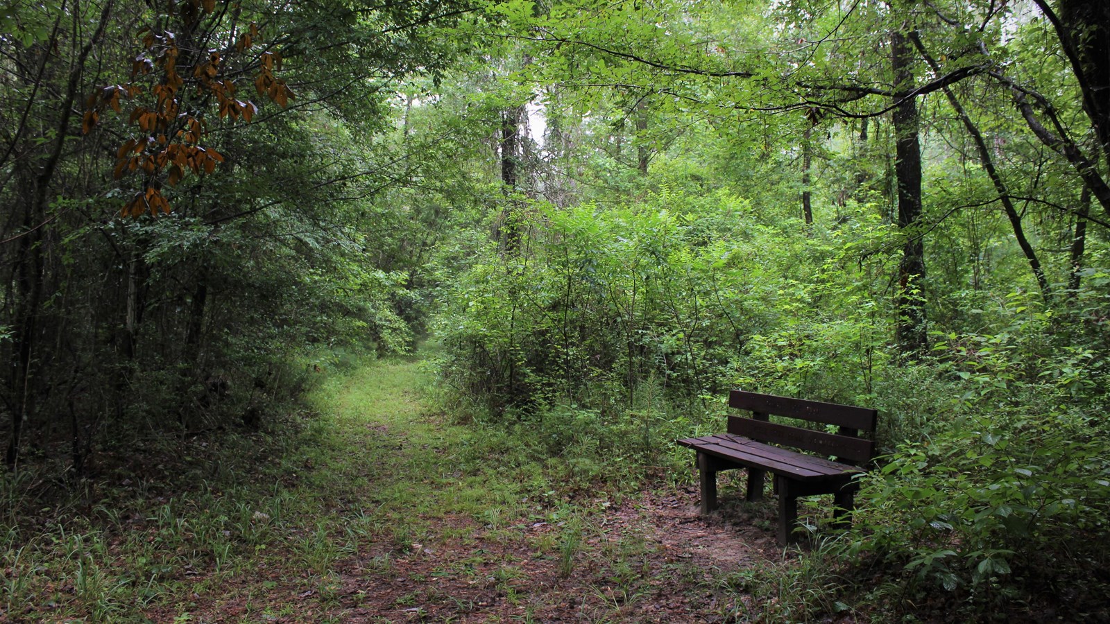 Turkey Creek Trail South of Gore Store Road (U.S. National Park Service)
