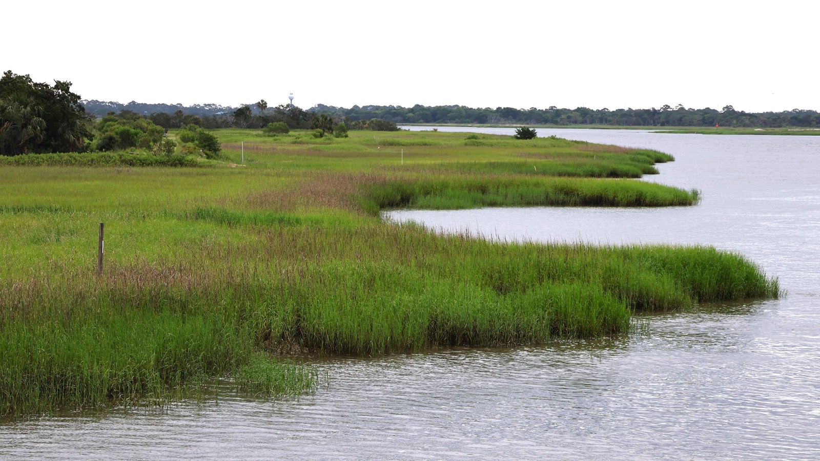 A marshy area on the left next to a river.