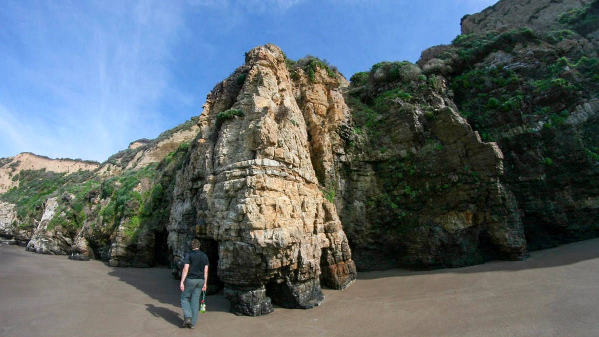 A man walks in front of a beige wave- and water-sculpted rock formation along tall coastal bluffs