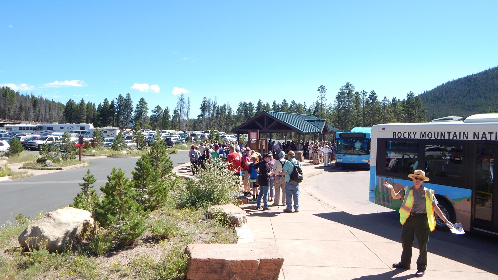 A ranger gestures in front of a long line next to buses