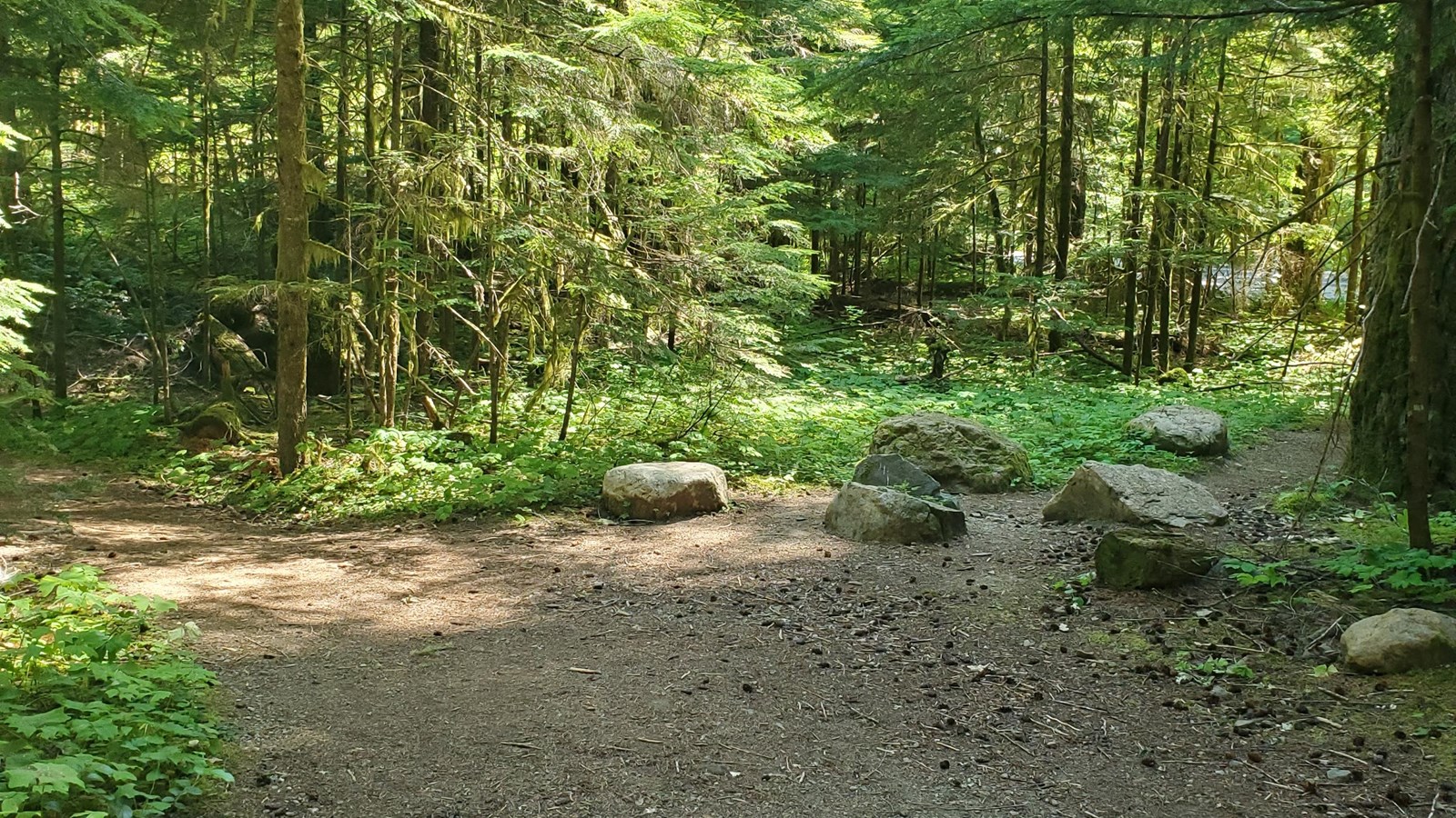 A wide trail continues to the left. To right a cluster of boulders marks the start of a side trial.