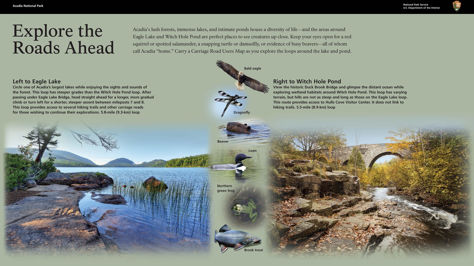 Title: Explore the Roads Ahead in bold; background images of pond, pond life, and an arched carriage