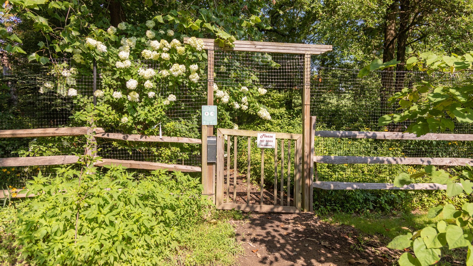 Gate with split rail fence on either side leads to the Woodland Garden.