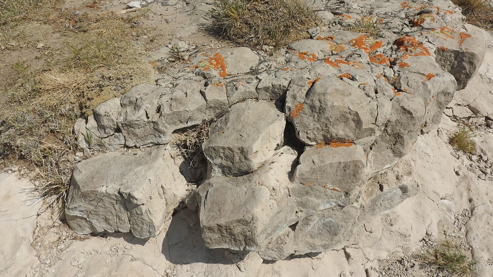 A layer of gray colored rock with splotches of orange lichen.