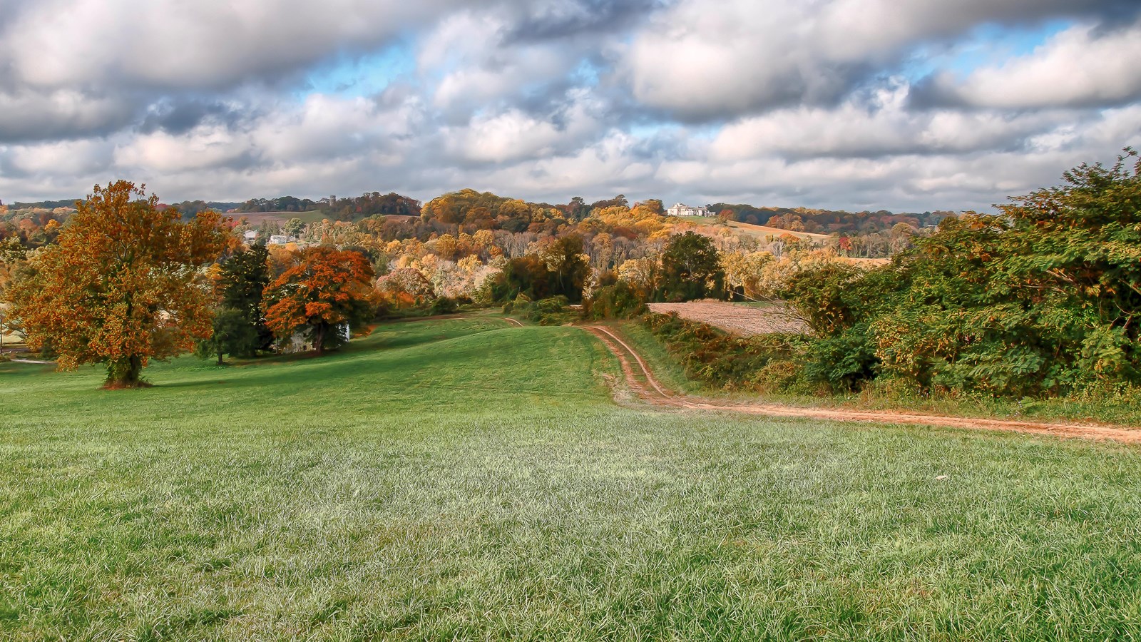 Vibrant yellow, orange and red leaves roll along the curves of the hills.