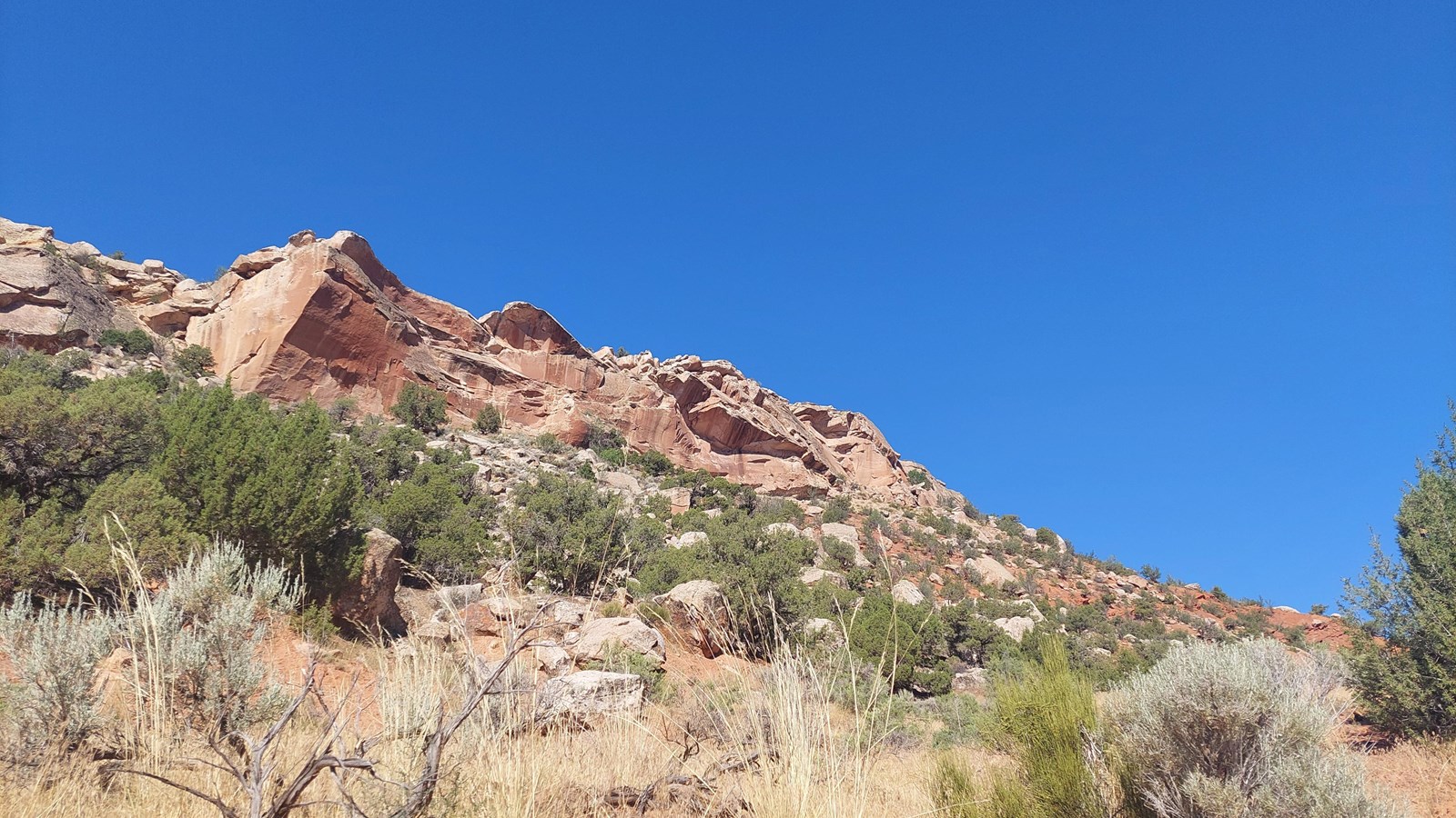 A large sandstone bluff rising high above a dry desert streambed.