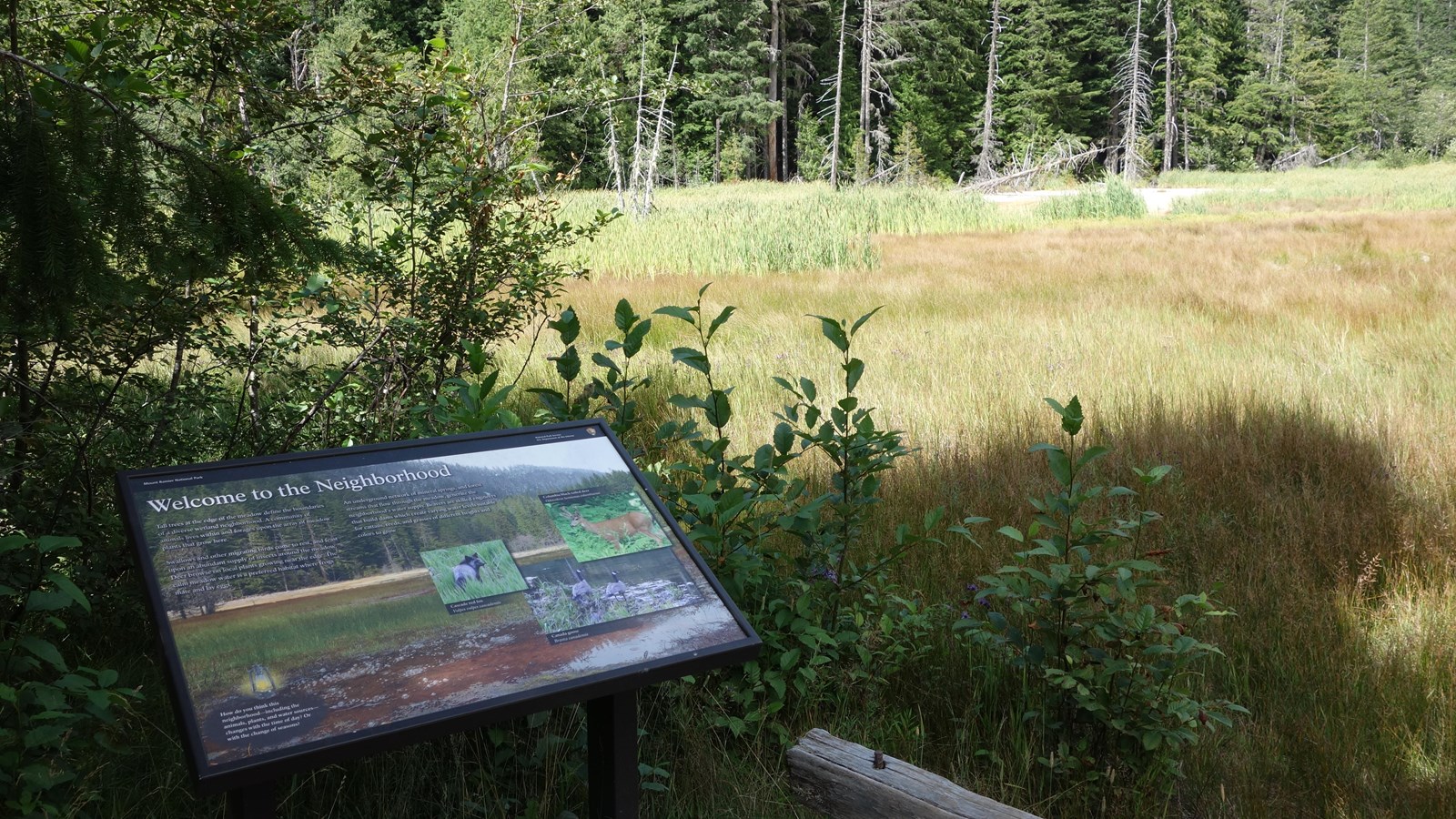 A exhibit panel in a metal stand next to a fence and shaded by trees overlooks a meadow. 