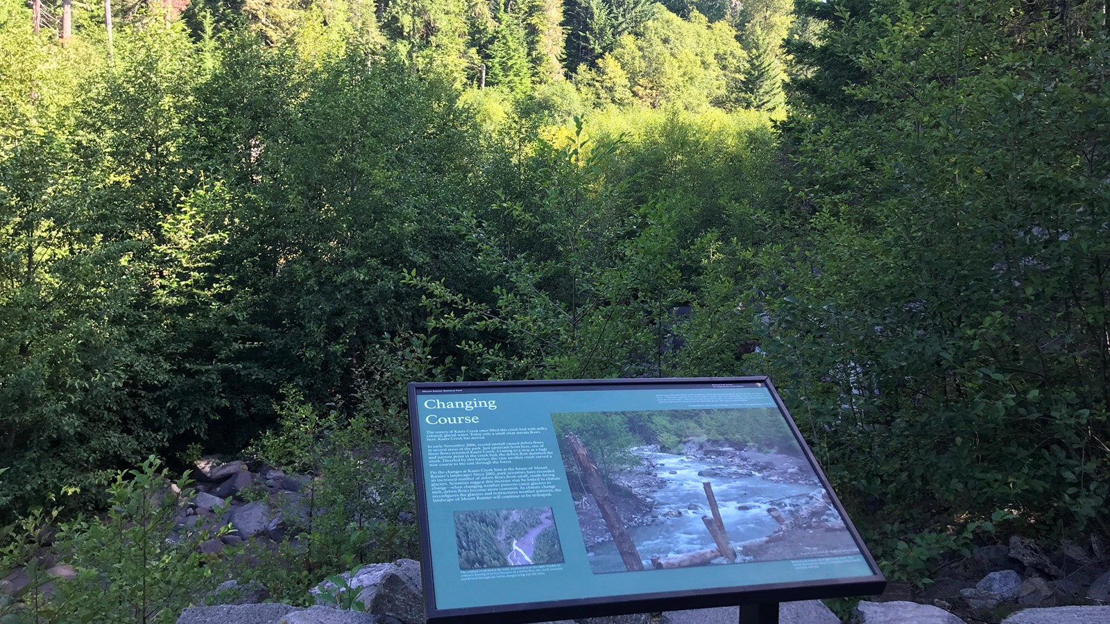 An exhibit panel in a metal stand overlooks a creek bed overgrown with alders and shrubs.