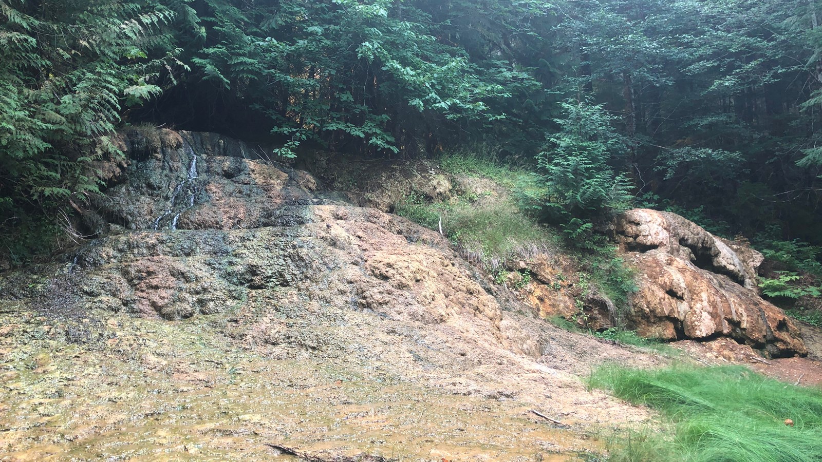 A wet hillside covered on orange mineral deposits