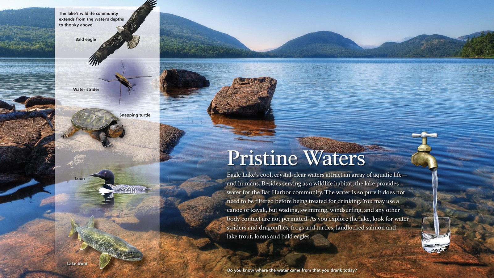 Title: Pristine Waters in bold; background image of rocks seen through clear pond water.