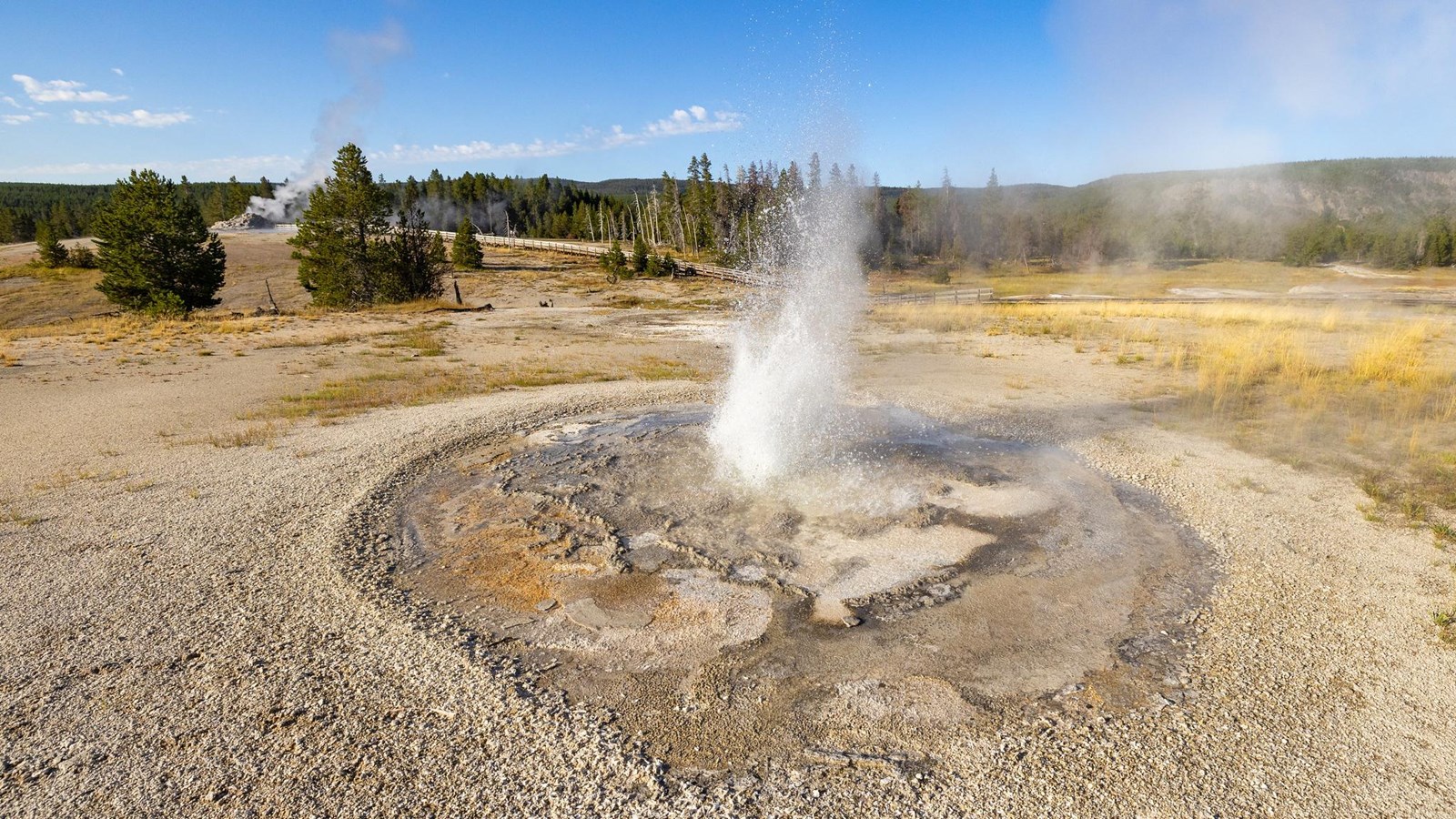 Water spouts from a small vent in a shallow pool with mineral deposits around the rims. 