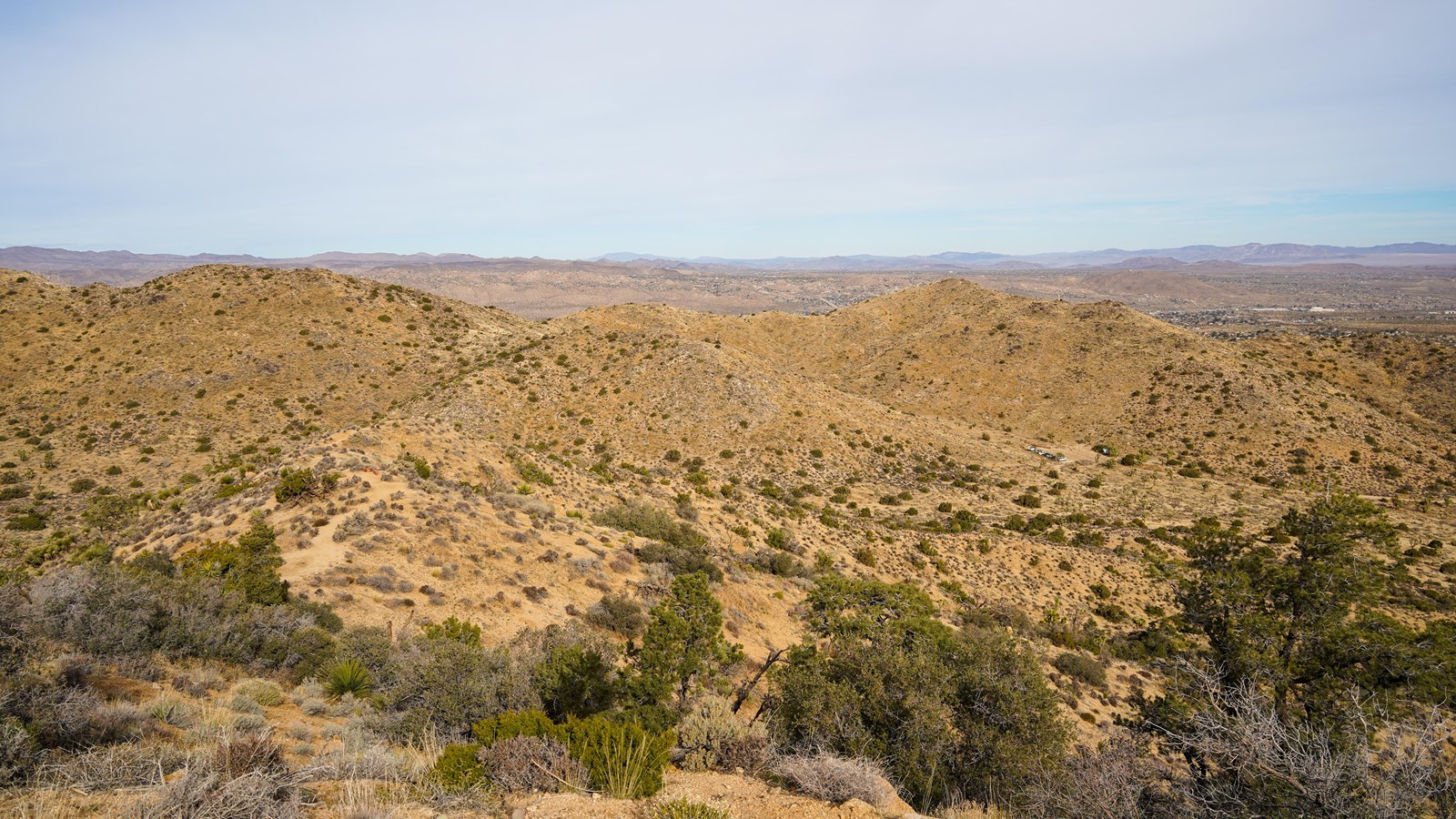 A high vantage view of brown hills scattered with trees and desert shrubs. 