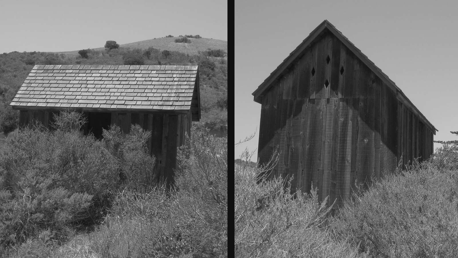 small wood building with steep roof surrounded by shrubs