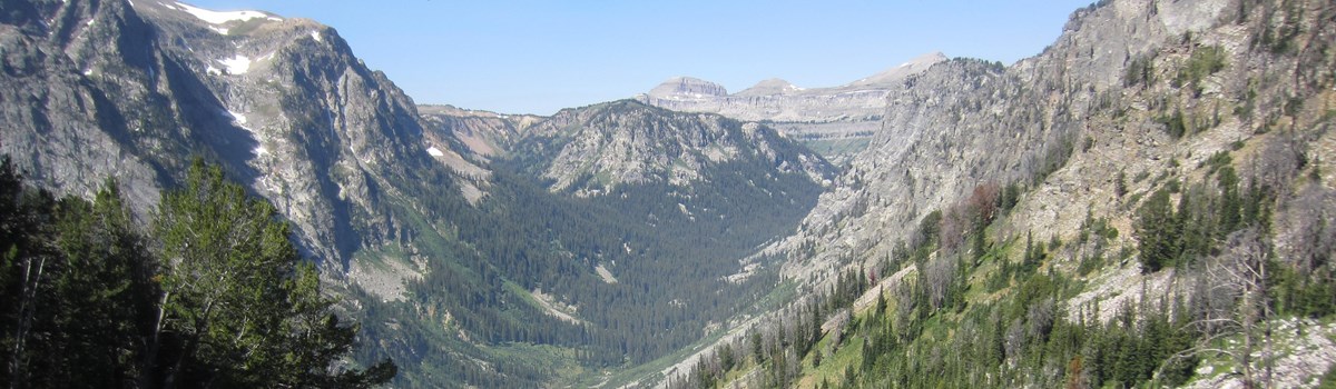 A mountain canyon full of trees.
