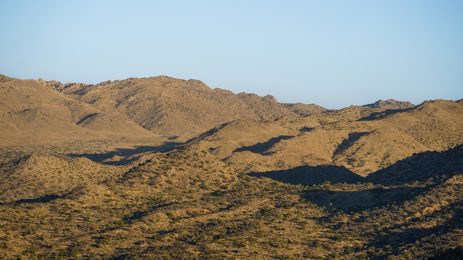 A high vantage view of hills and mountains scattered with Joshua trees with a blue sky.