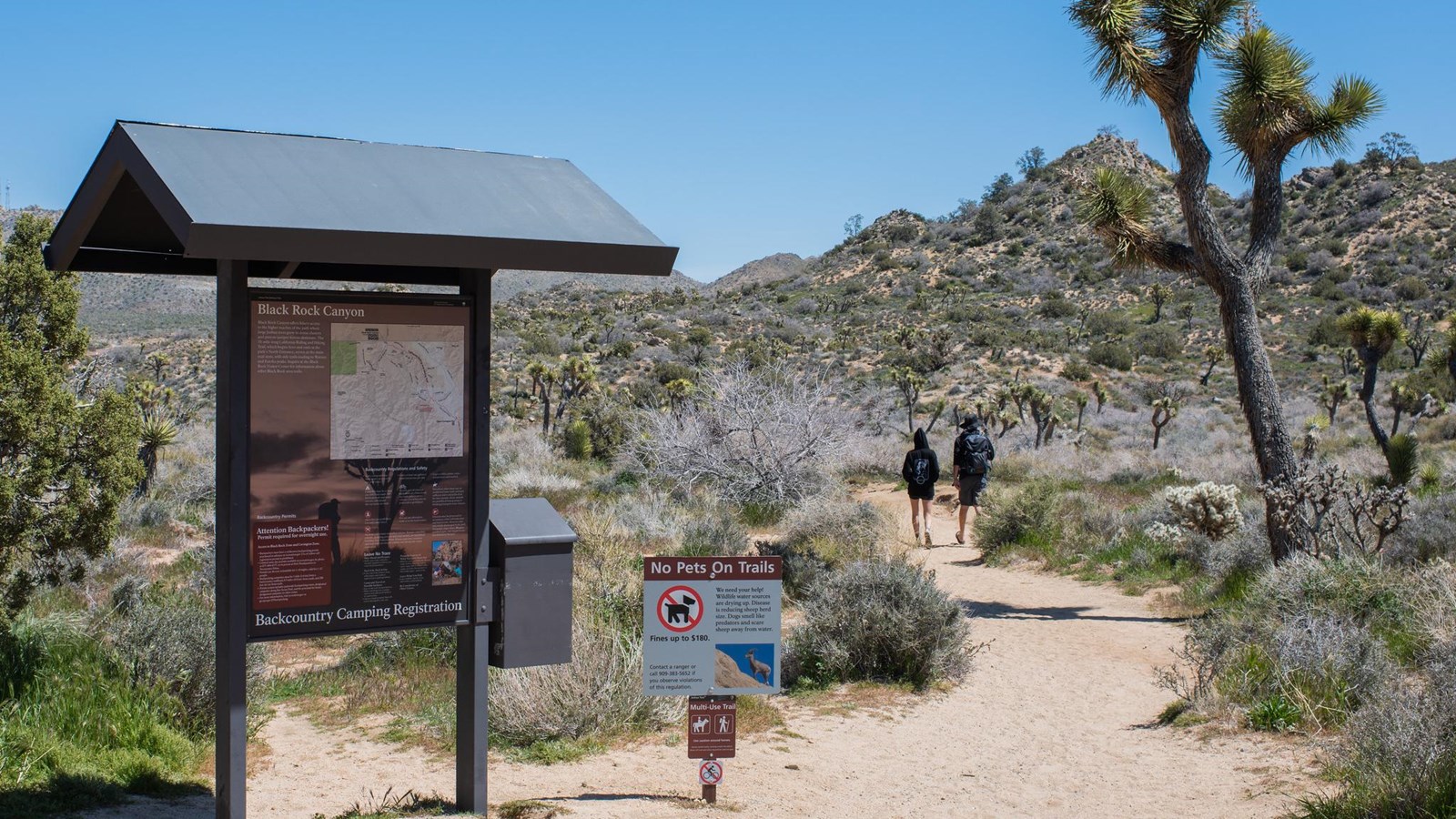 A trailhead sign with a map and photo stands next to a dirt path that two visitors are walking on.