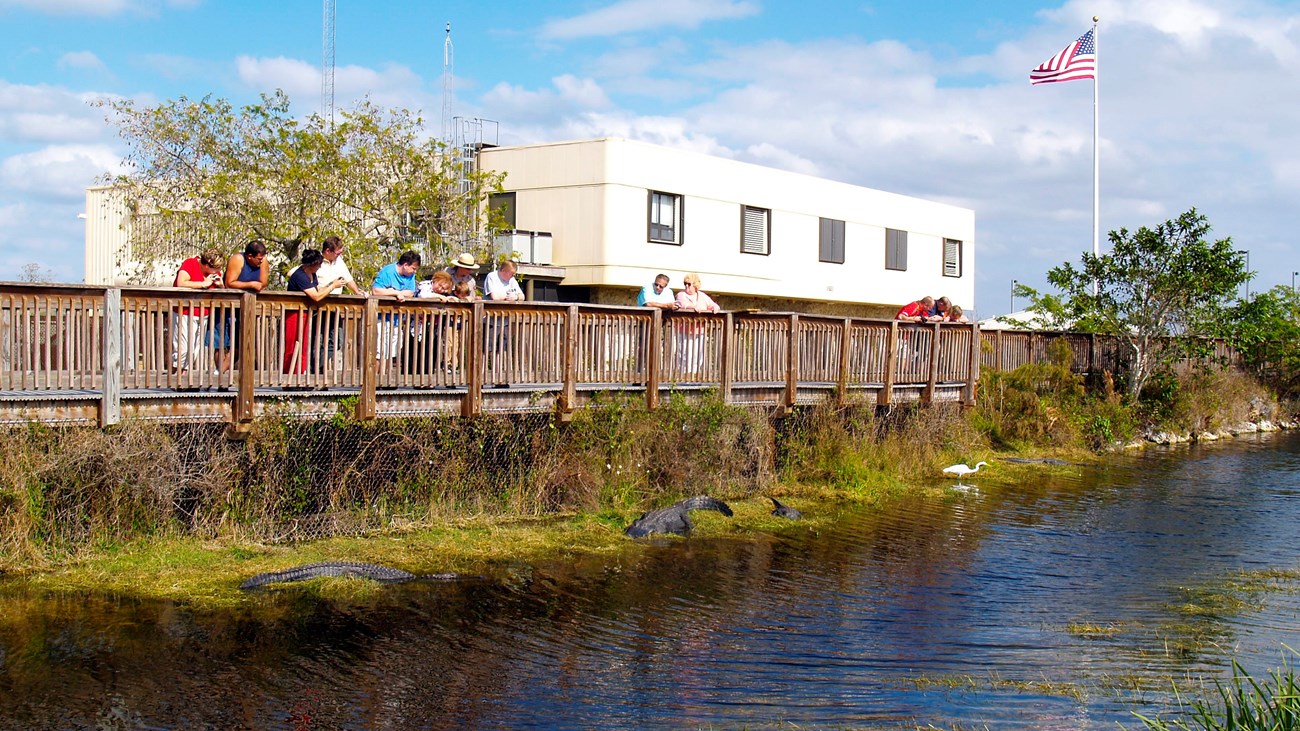 Boardwalk with visitors and Ranger with canal in the foreground. Alligators are below boardwalk