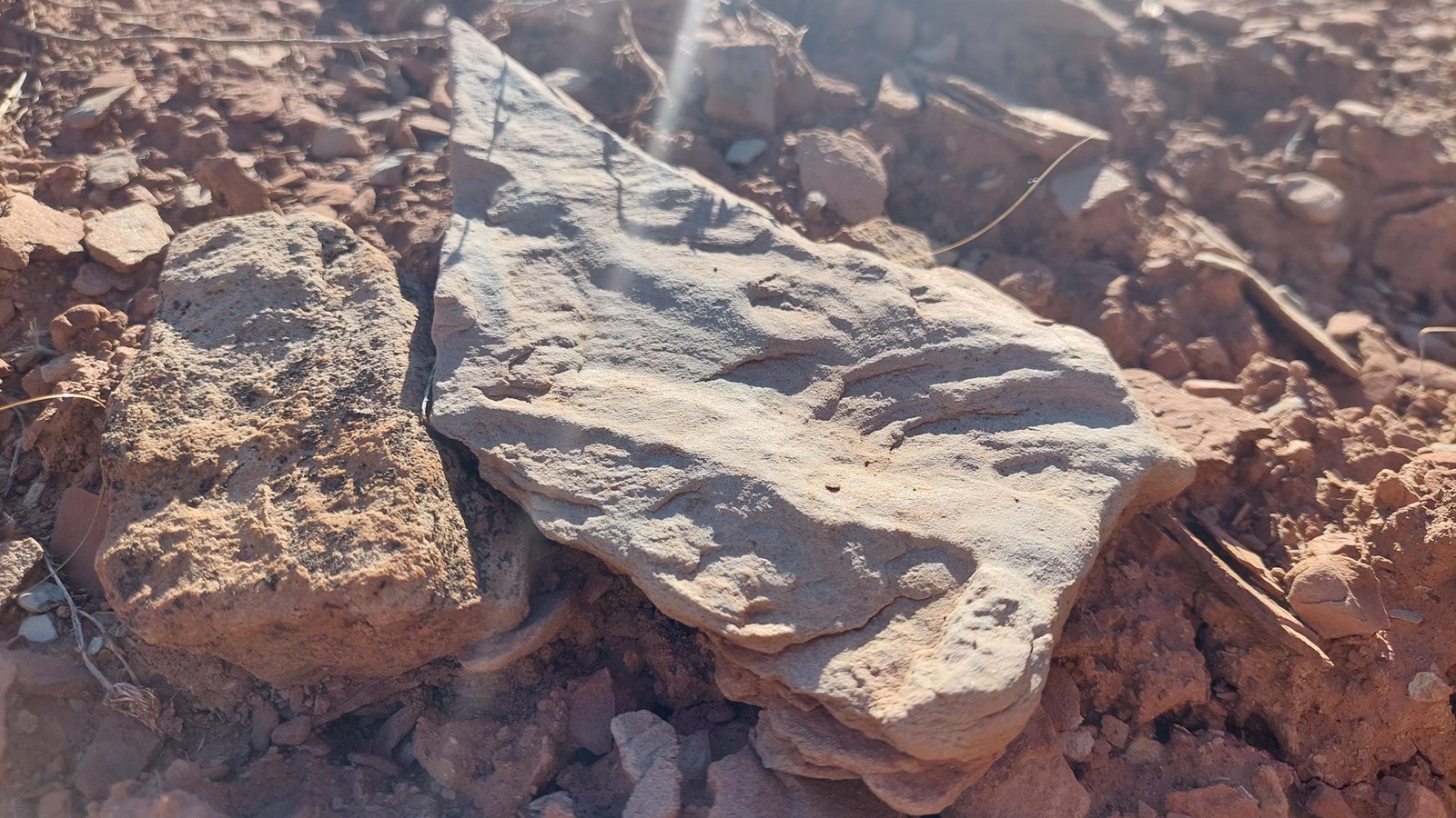A triangular flat rock with wavy patterns embedded throughout.