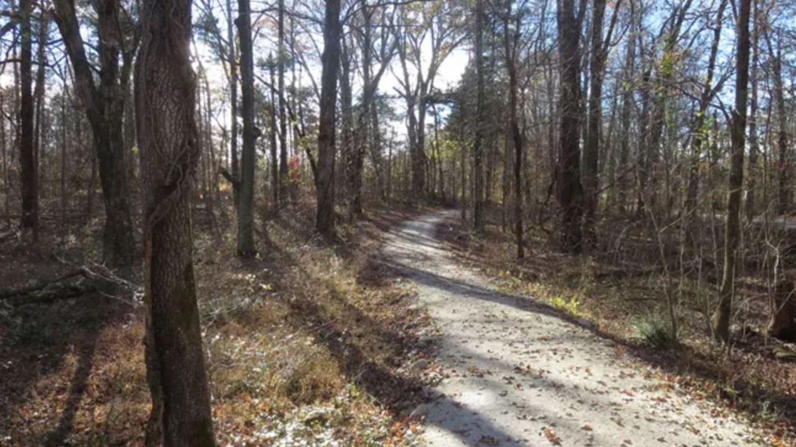Big Sink Trail - gravel with trees on both sides- falltime
