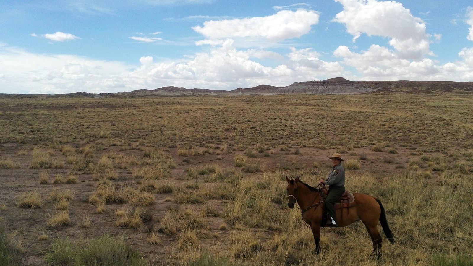 Horse Ranger on the grassland under a partially cloudy sky.