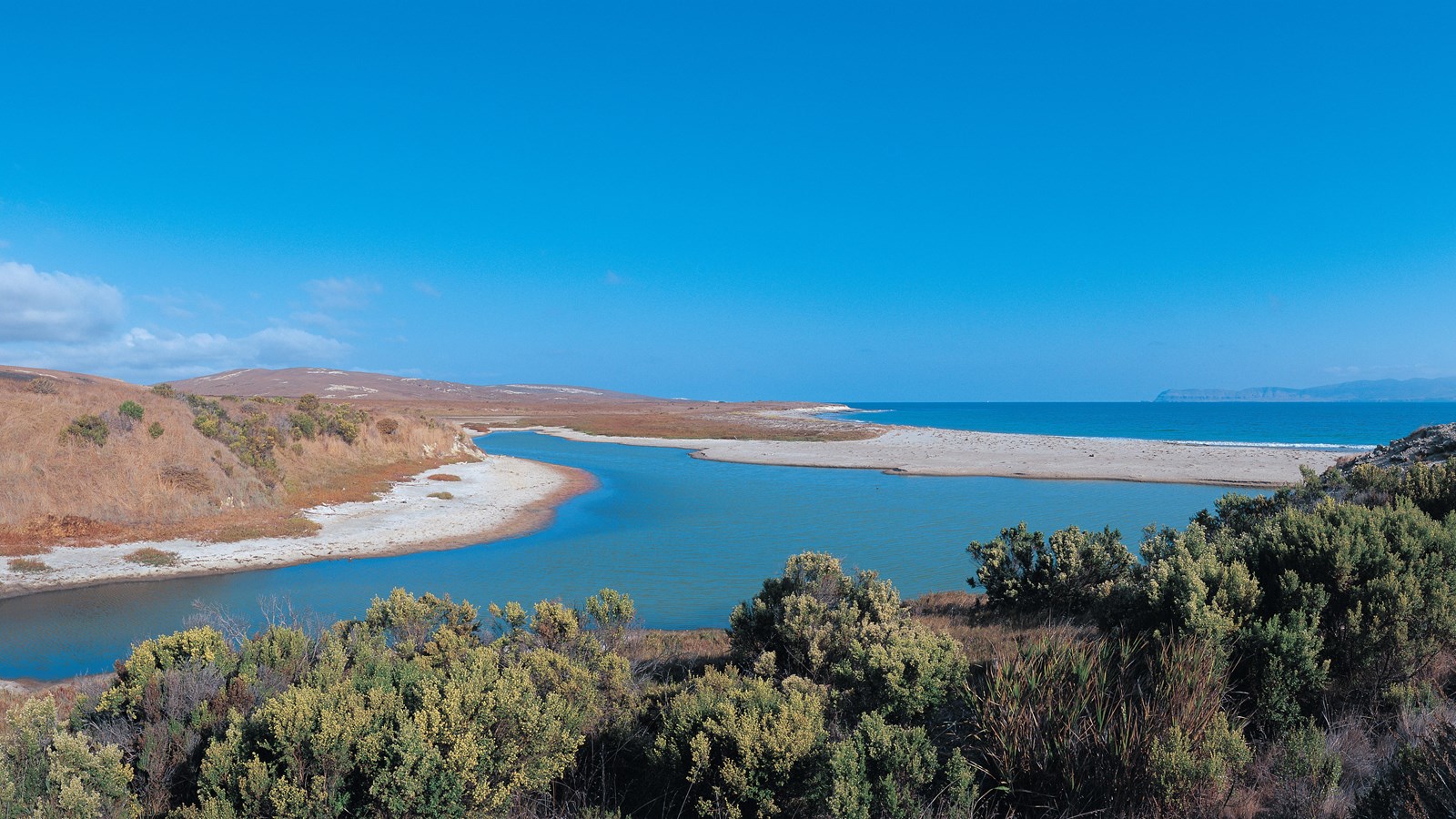 Wetland area surrounded by dry grass and white sand.