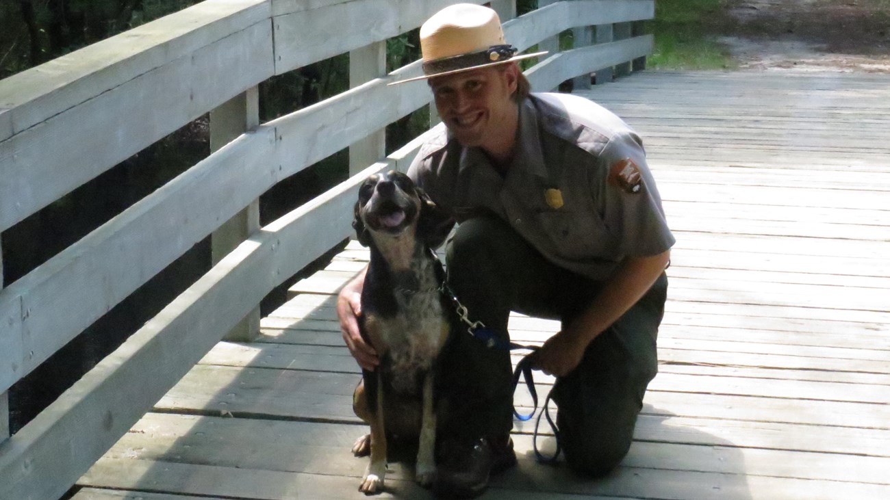 Park Ranger kneeling on a wooden bridge with their dog.