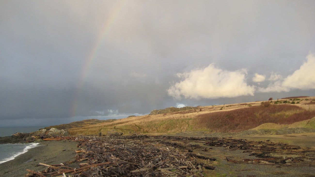 A rainbow goes over a gray sand beach with lots of wood on it. The sky is gray with clouds