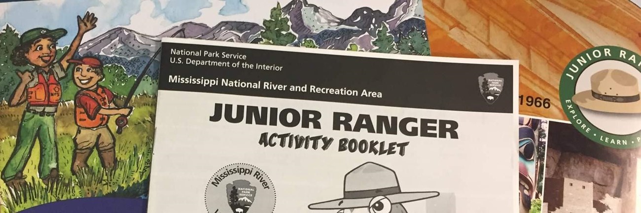 Kids raising their hands to earn a junior ranger badge.