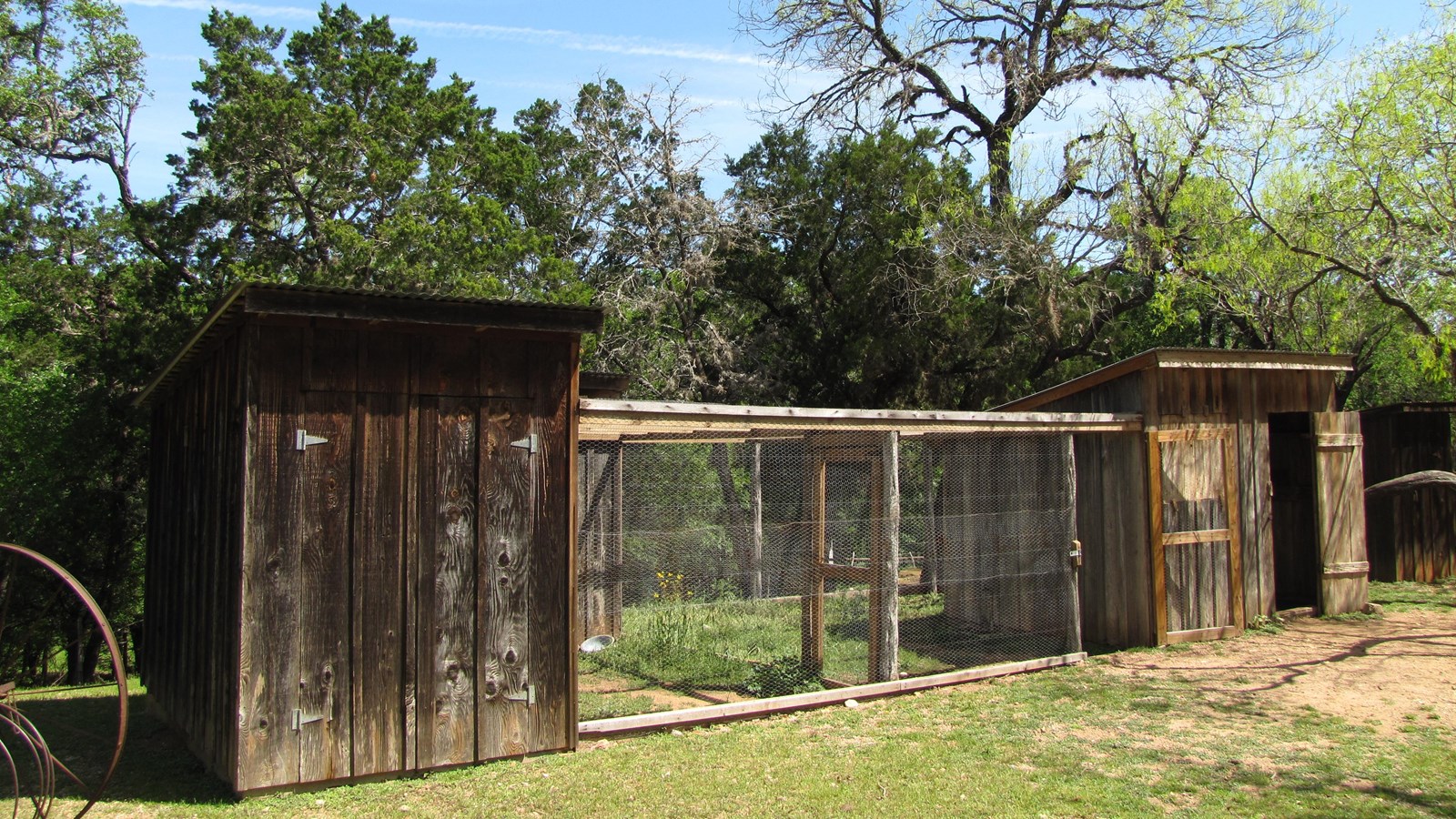 Two wooden sheds are connected by a chicken-wire pen.