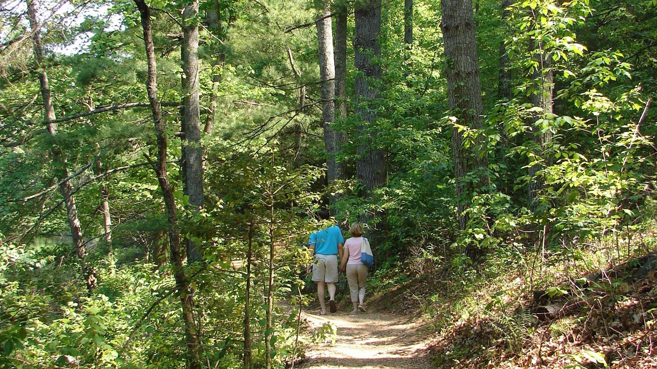 2 people walk along a tree lined trail