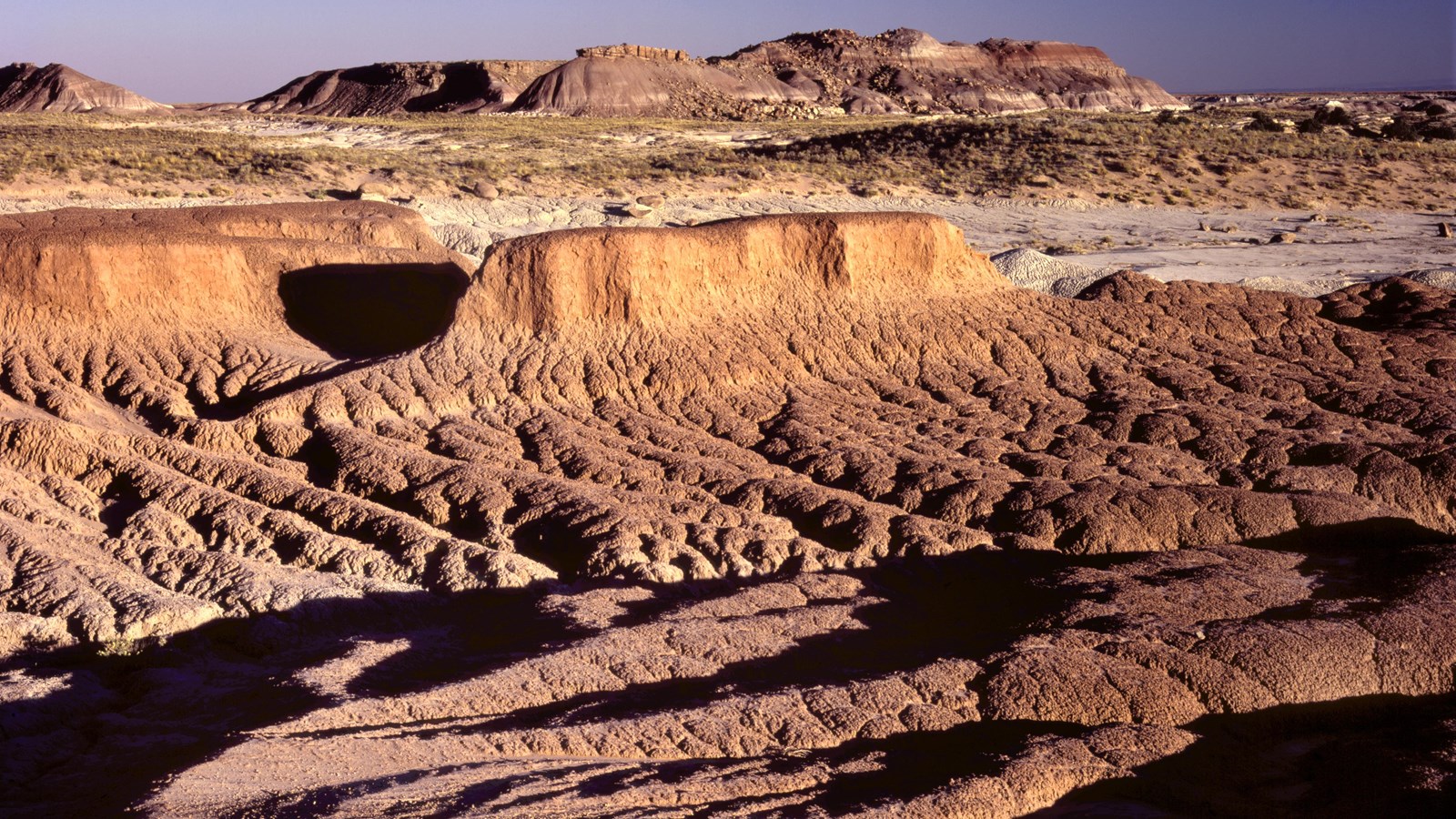 Badlands with a mesa in the background.