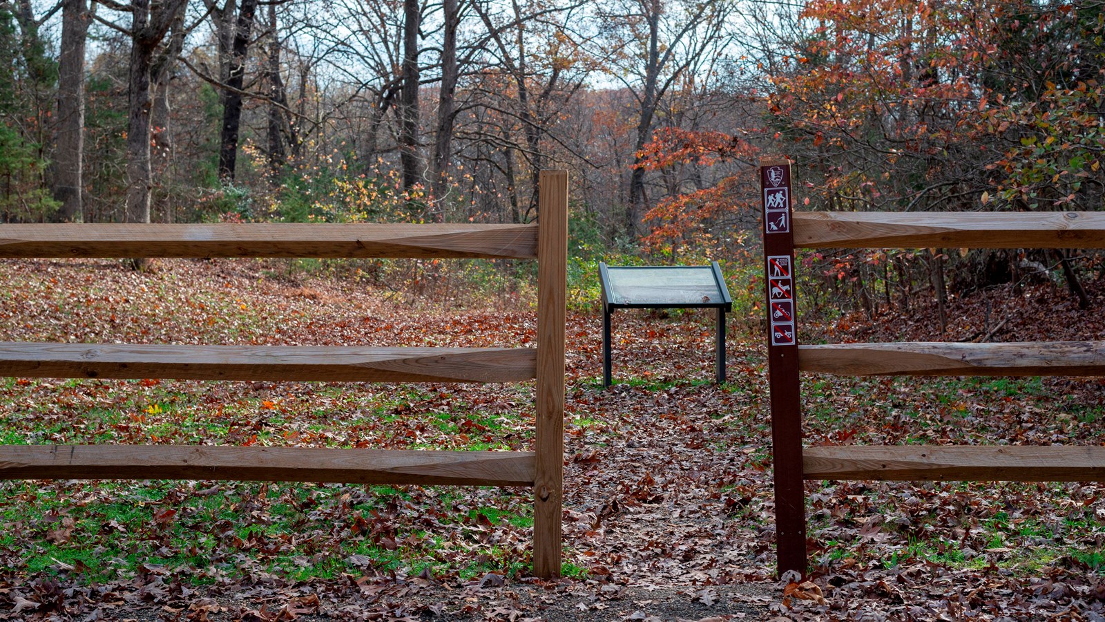 A break in two wooden fences leading to a trail through the woods in fall.