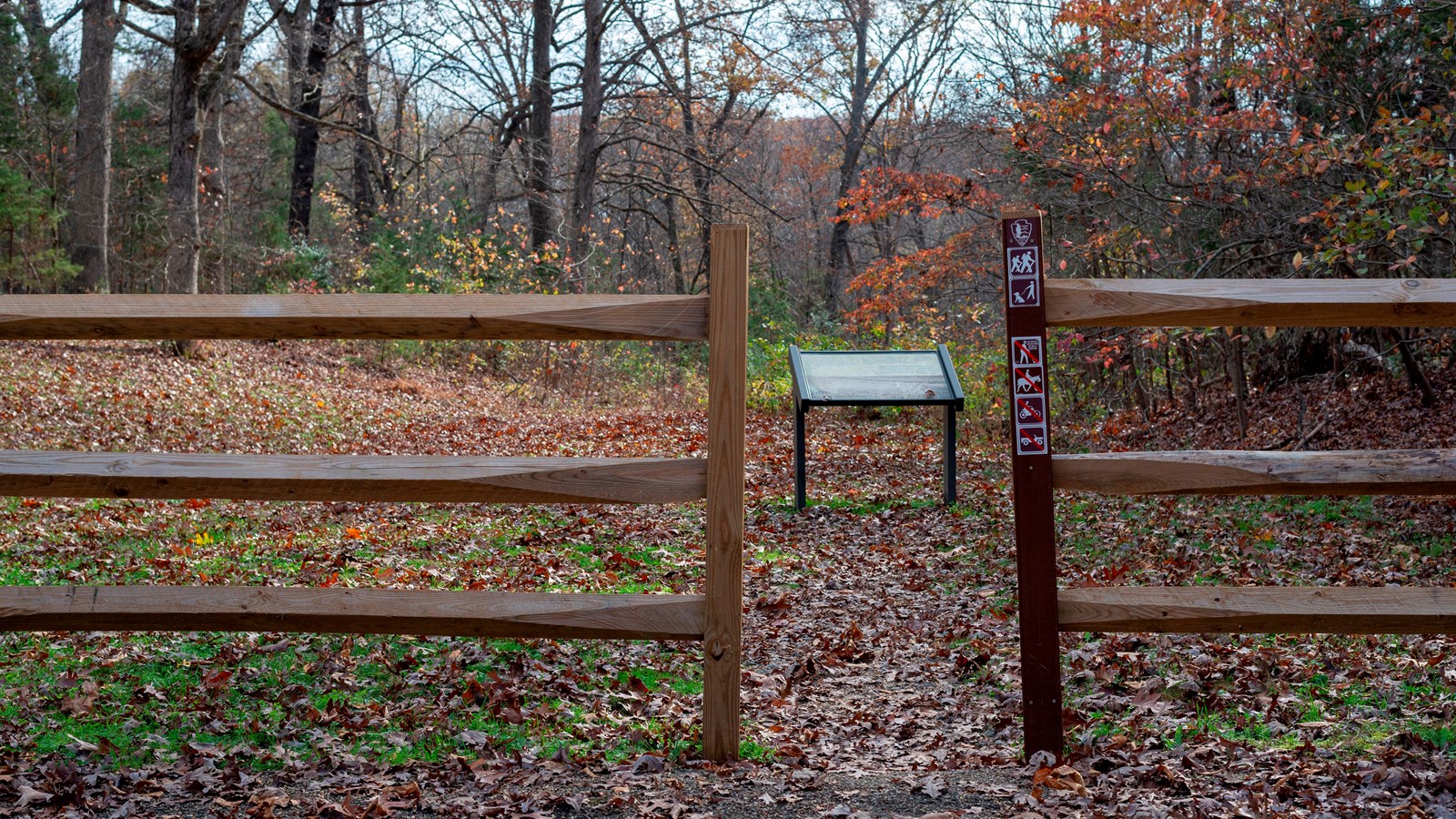 A break in two wooden fences leading to a trail through the woods in fall.