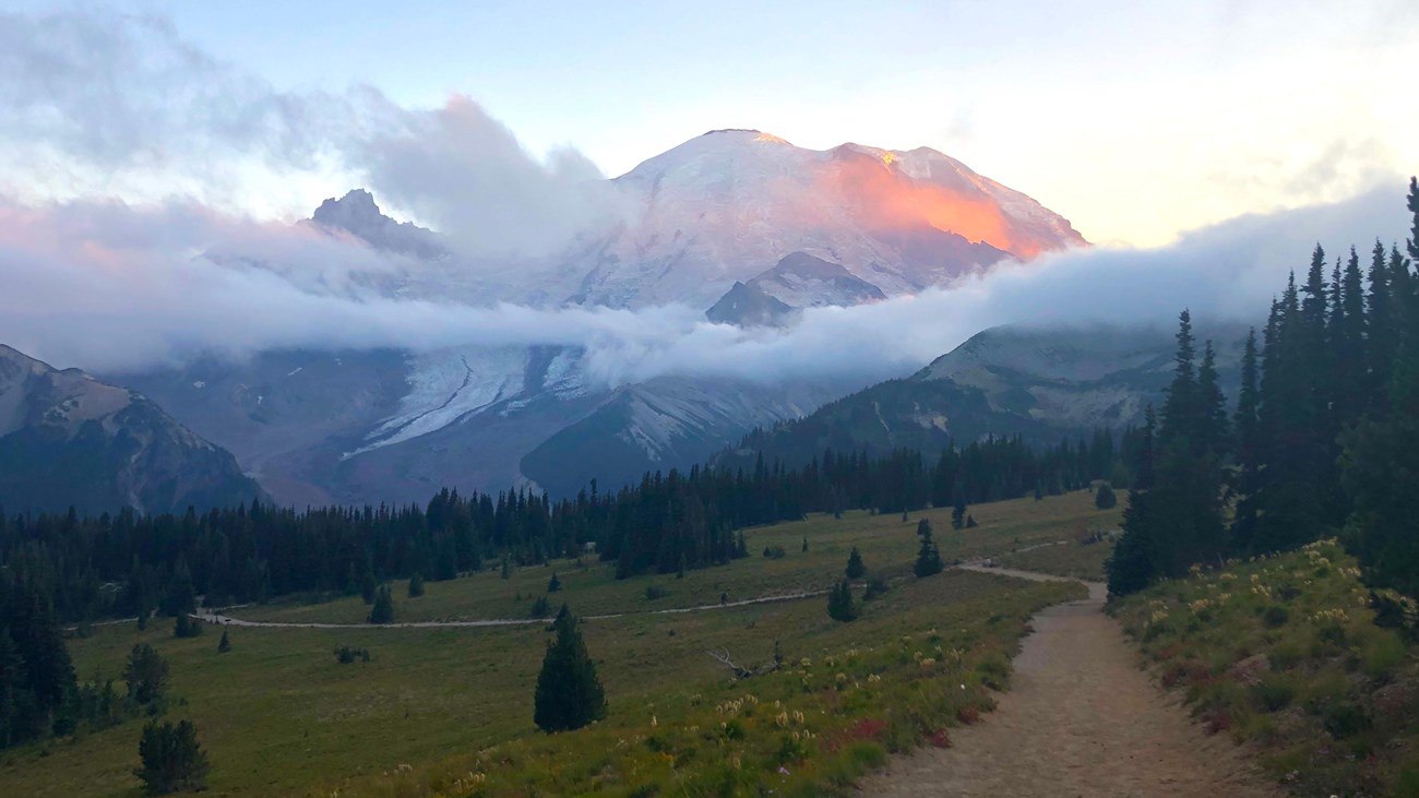 Mount Rainier glows pink and orange as the sun sets. Clouds hang below the summit in an inversion. 