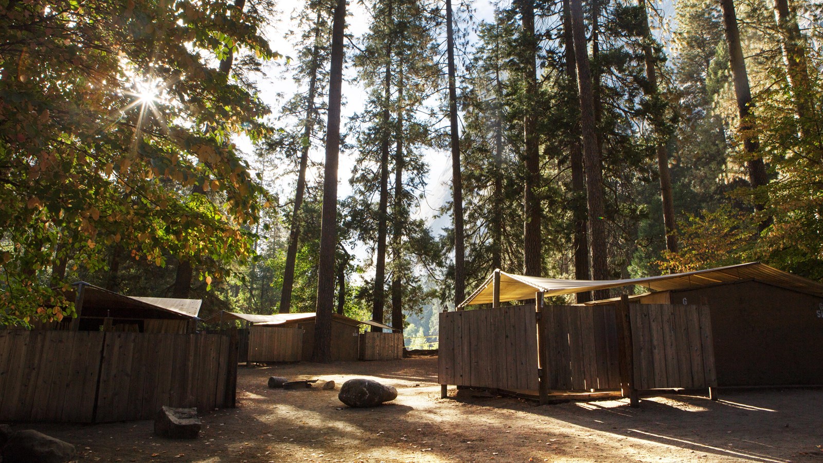 A few of the housekeeping structures among trees