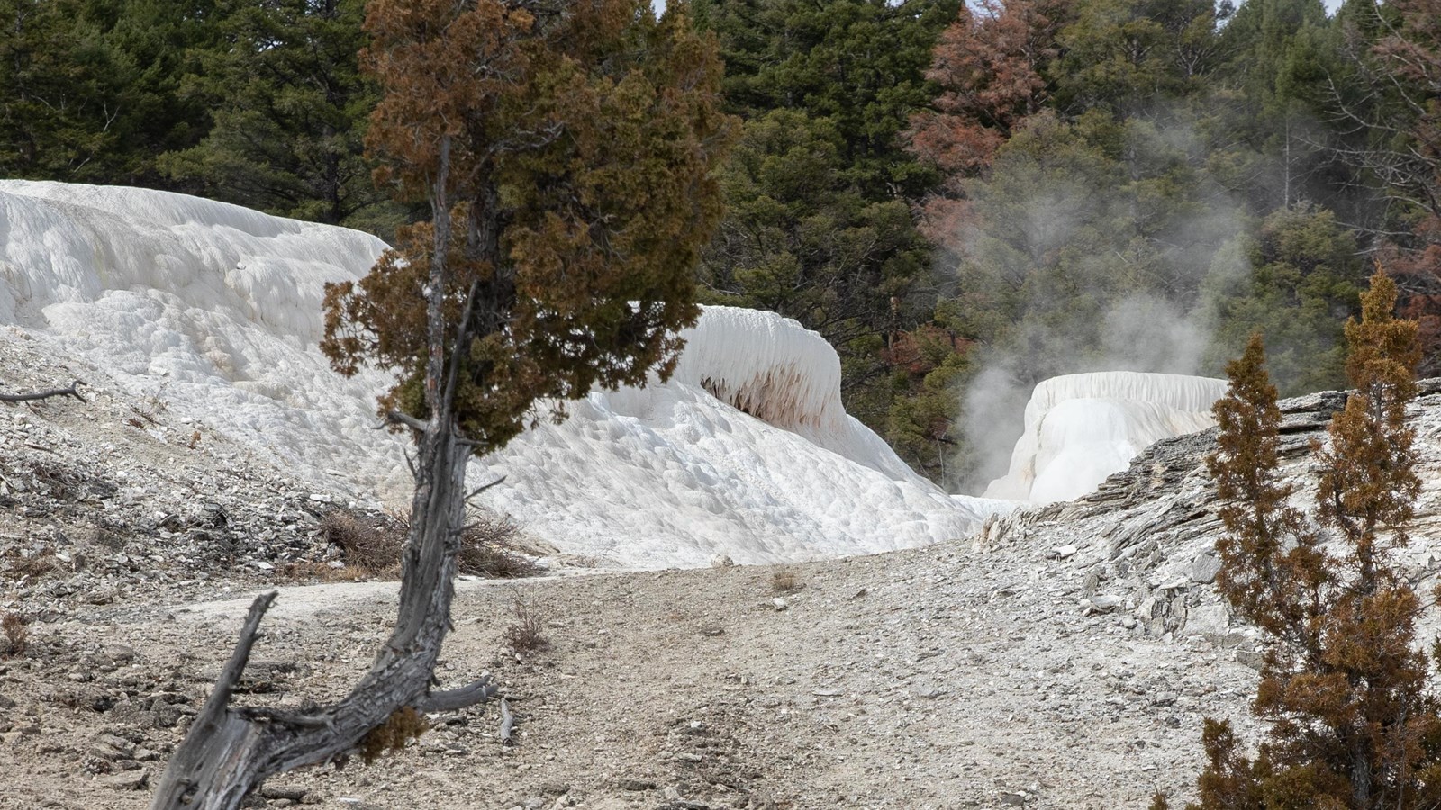 White terraces of travertine rise beyond the small parking area.