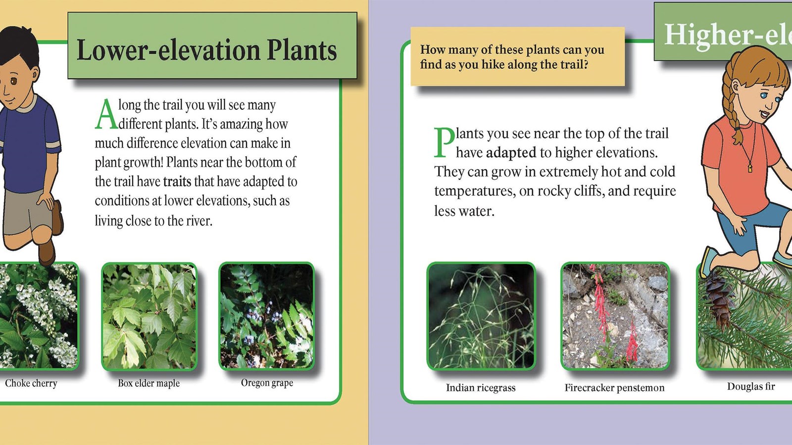 An illustrated young boy and girl point at pictures of plants. 