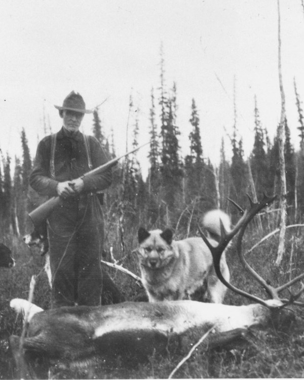 Cap Reynolds stands with two of his dogs over a harvested bull caribou.